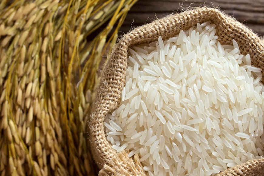 برنج‌های رسوبی در بنادر منتظر تخصیص ارز