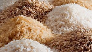 وضعیت واردات و ترخیص ۱.۴ میلیون تن برنج
