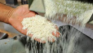 برنج برای تنظیم بازار شب عید